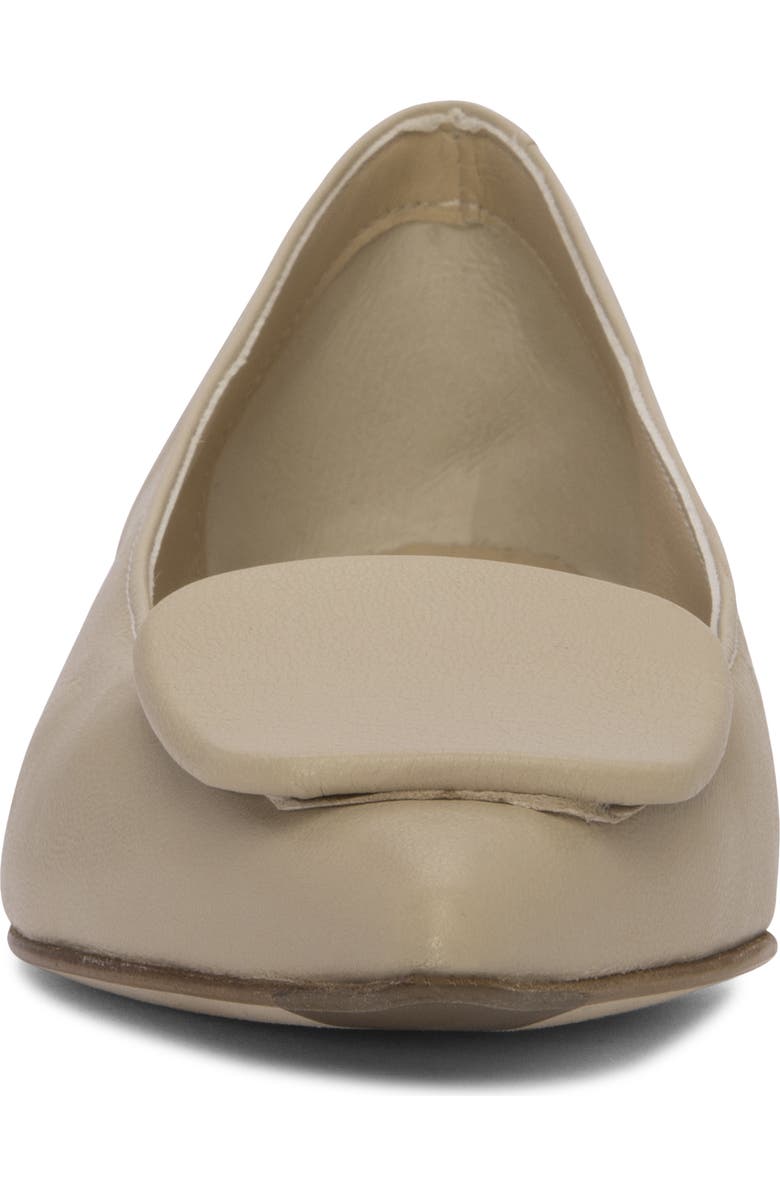 Blanche Pointed Toe Pump Flats