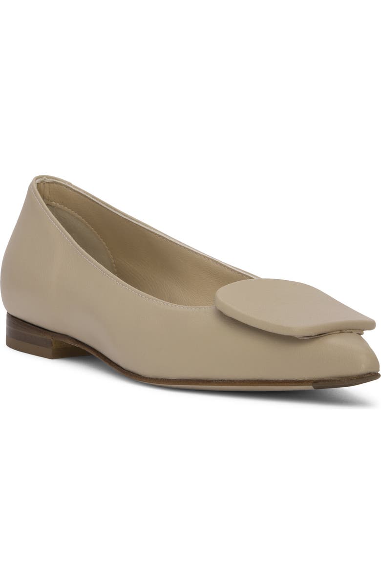 Blanche Pointed Toe Pump Flats